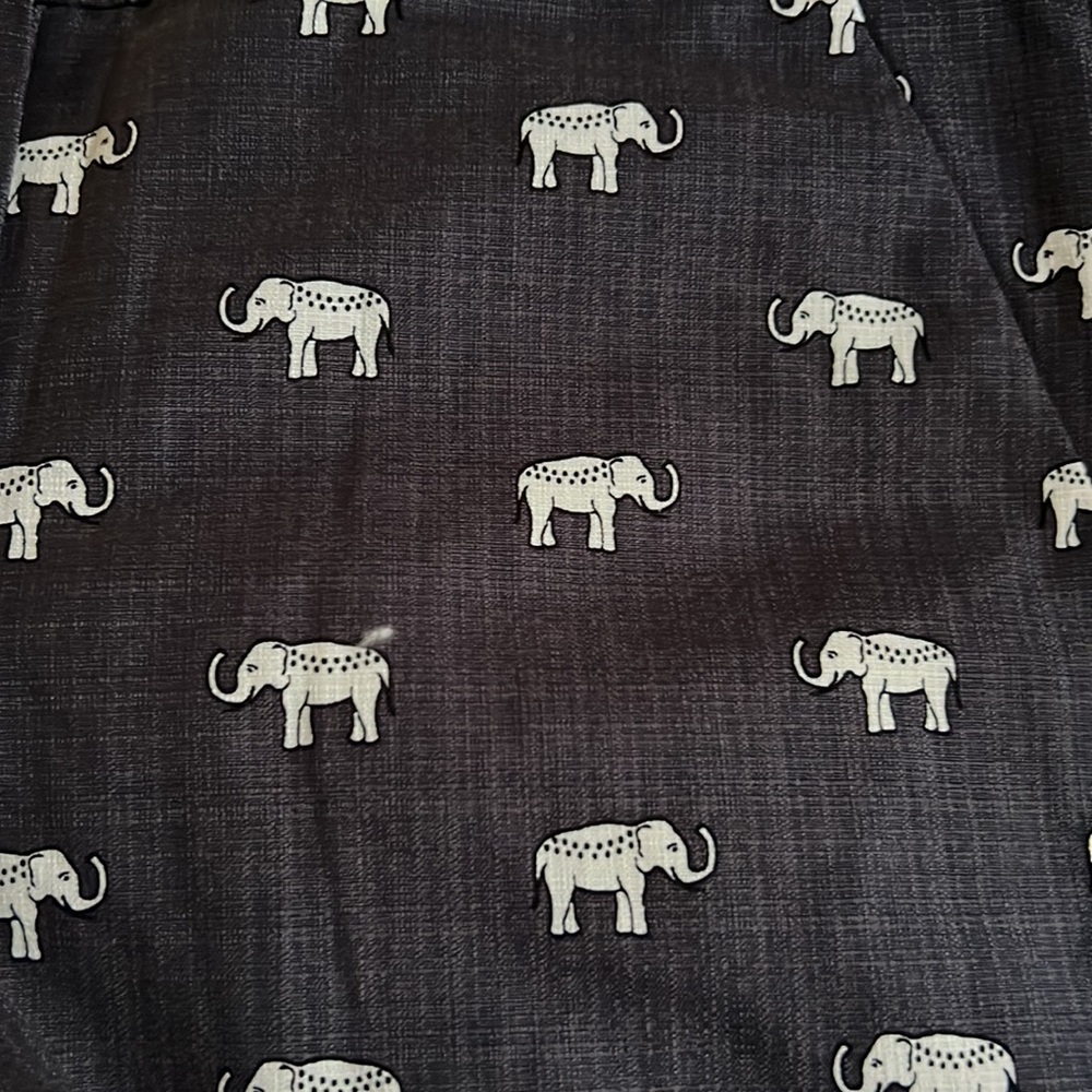 Loft Riviera shorts - Picture 7 of 7